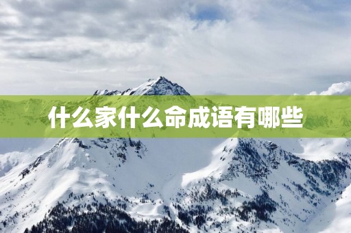 什么家什么命成语有哪些