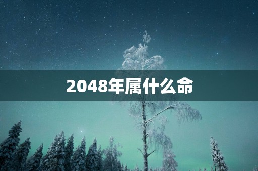 2048年属什么命