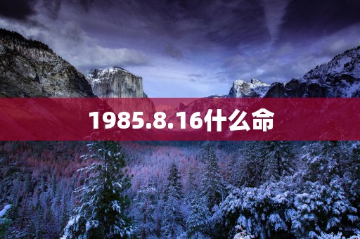 1985.8.16什么命
