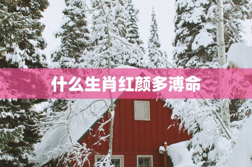 什么生肖红颜多溥命