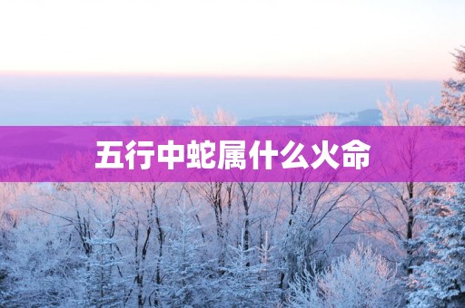 五行中蛇属什么火命