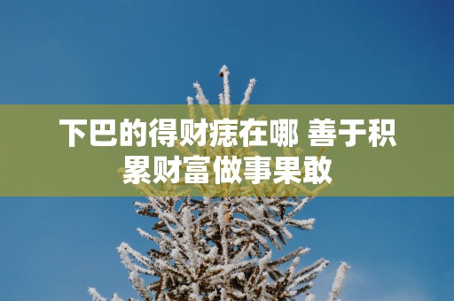 下巴的得财痣在哪 善于积累财富做事果敢