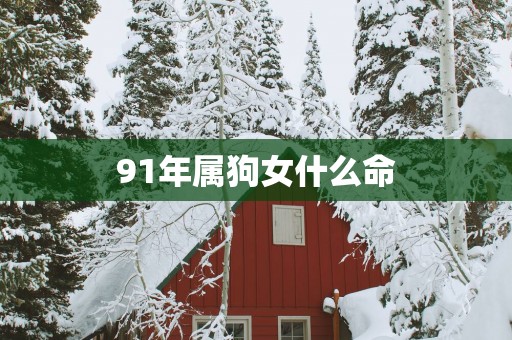 91年属狗女什么命