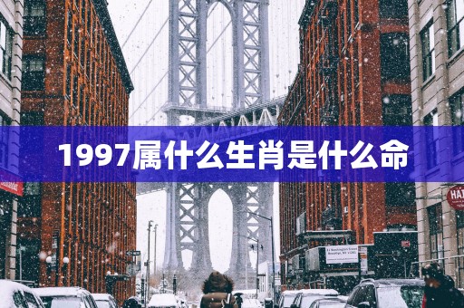 1997属什么生肖是什么命