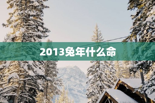 2013蛇年什么命