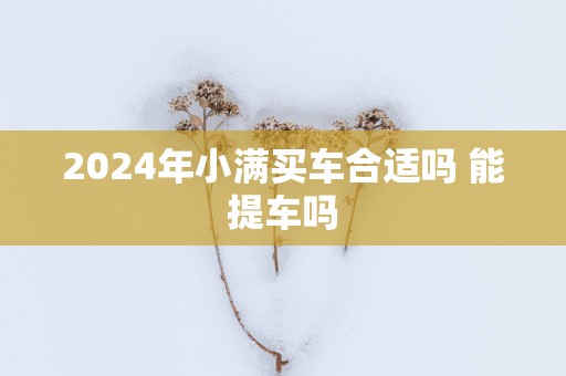 2025年小满买车合适吗 能提车吗