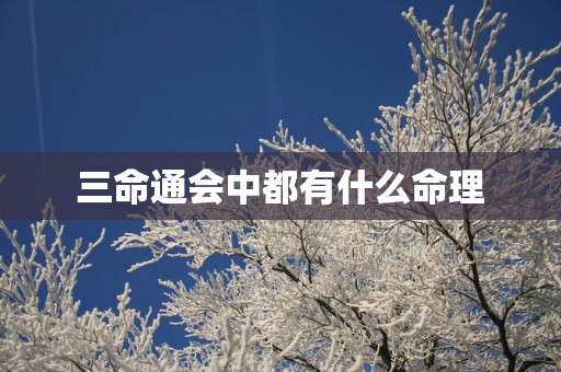 三命通会中都有什么命理