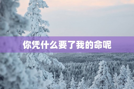 你凭什么要了我的命呢