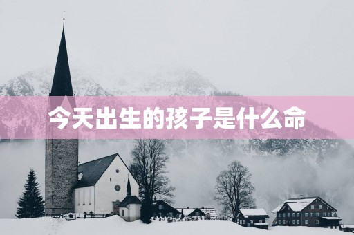 今天出生的孩子是什么命