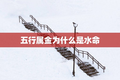 五行属金为什么是水命