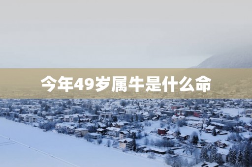 今年49岁属牛是什么命