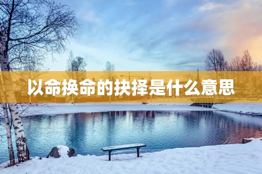 以命换命的抉择是什么意思