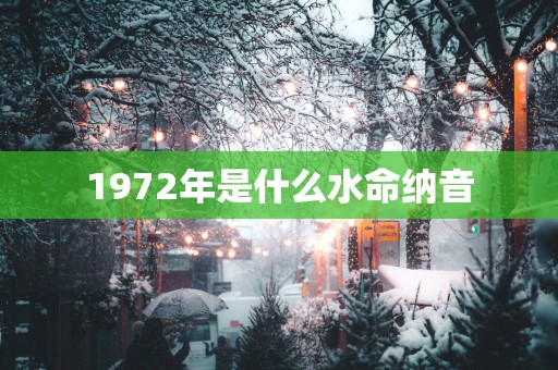 1972年是什么水命纳音
