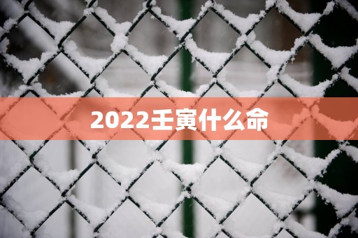 2025壬寅什么命