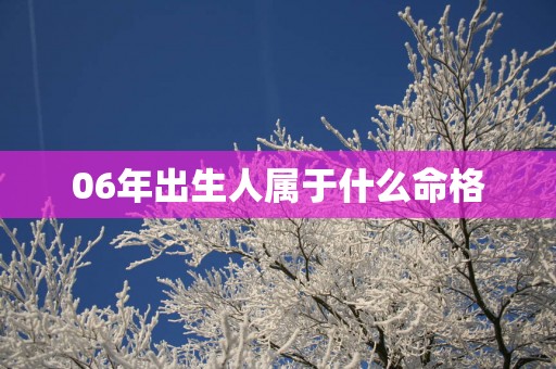 06年出生人属于什么命格