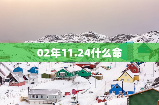 02年11.24什么命