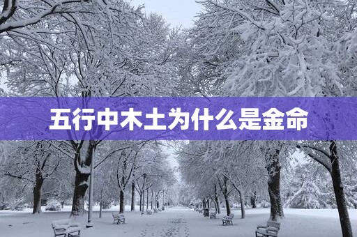 五行中木土为什么是金命