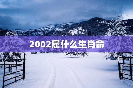 2002属什么生肖命