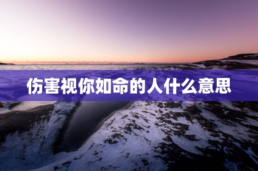 伤害视你如命的人什么意思