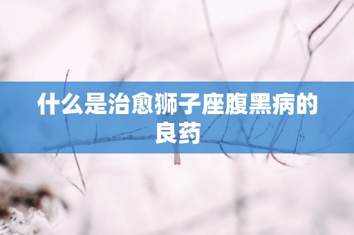 什么是治愈狮子座腹黑病的良药