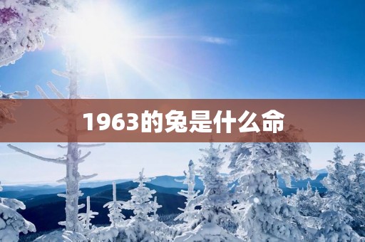 1963的兔是什么命