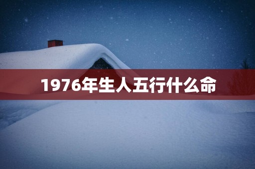 1976年生人五行什么命