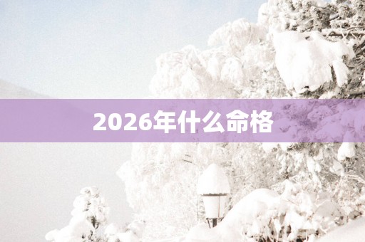 2026年什么命格