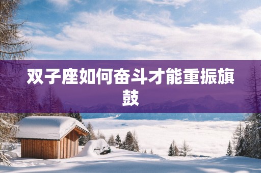 双子座如何奋斗才能重振旗鼓
