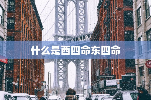 什么是西四命东四命