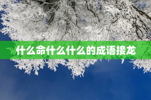 什么命什么什么的成语接龙