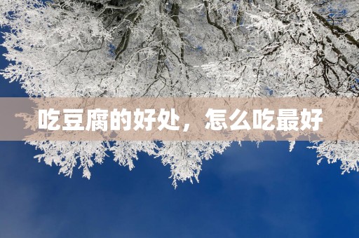 吃豆腐的好处，怎么吃最好