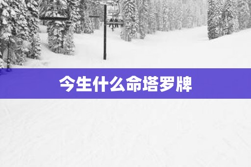 今生什么命塔罗牌
