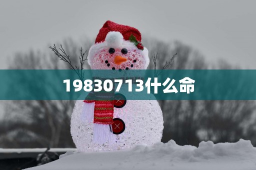 19830713什么命