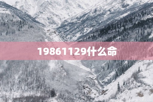 19861129什么命