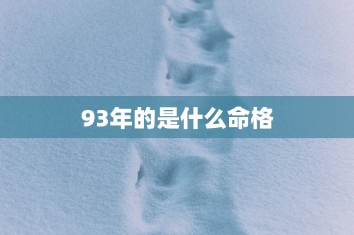 93年的是什么命格