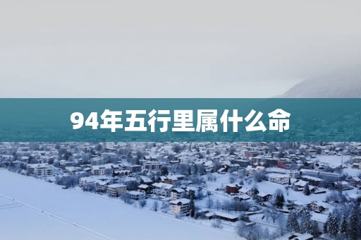 94年五行里属什么命