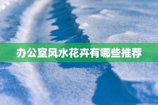 办公室风水花卉有哪些推荐