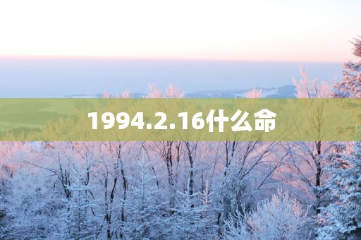 1994.2.16什么命
