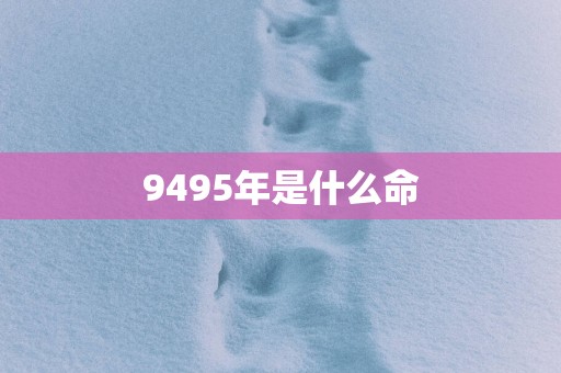 9495年是什么命