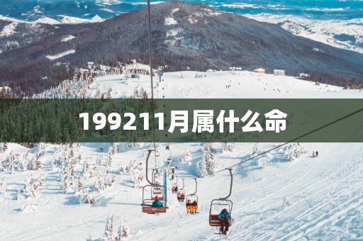 199211月属什么命