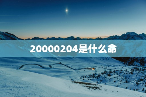 20000204是什么命