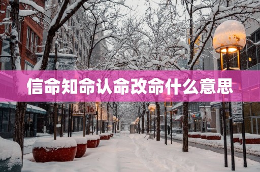 信命知命认命改命什么意思