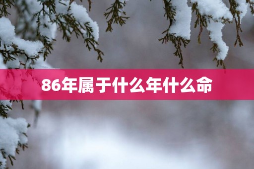 86年属于什么年什么命