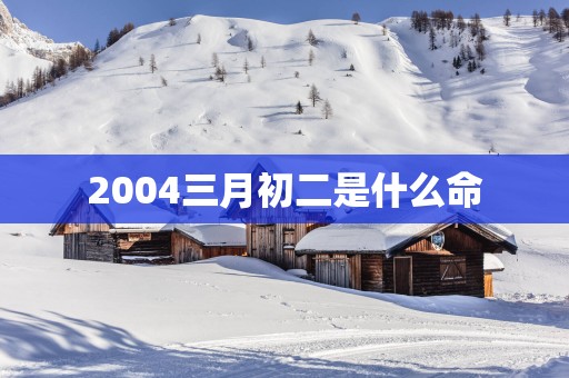 2004三月初二是什么命