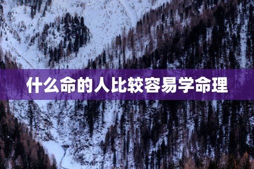 什么命的人比较容易学命理