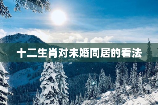 十二生肖对未婚同居的看法
