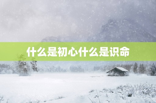 什么是初心什么是识命