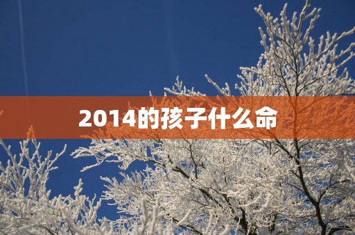 2014的孩子什么命