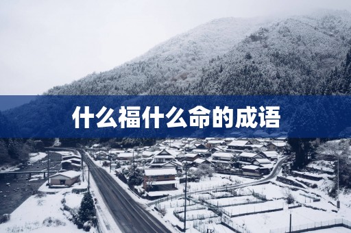 什么福什么命的成语