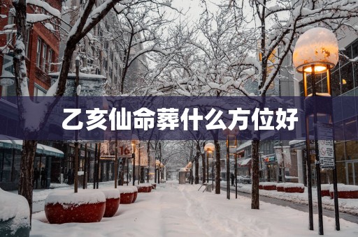 乙亥仙命葬什么方位好
